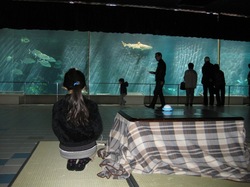 須磨水族館