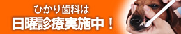 日曜診療実施中
